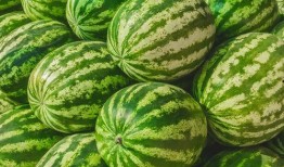 最近比较劲爆的大瓜.吃瓜视频每日大赛,吃瓜视频每日大赛精彩纷呈